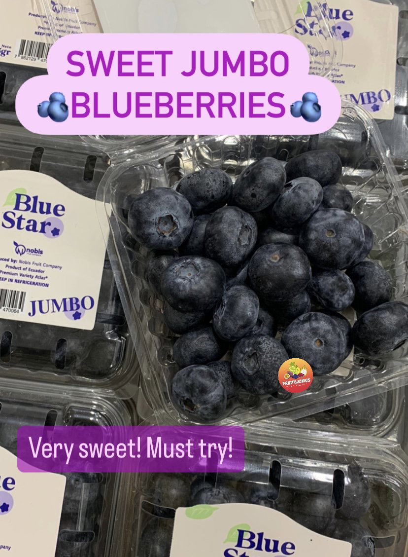 ECU BLUESTAR JUMBO BLUEBERRIES (2 pkt)_1