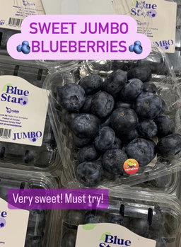 ECU BLUESTAR JUMBO BLUEBERRIES (2 pkt)
