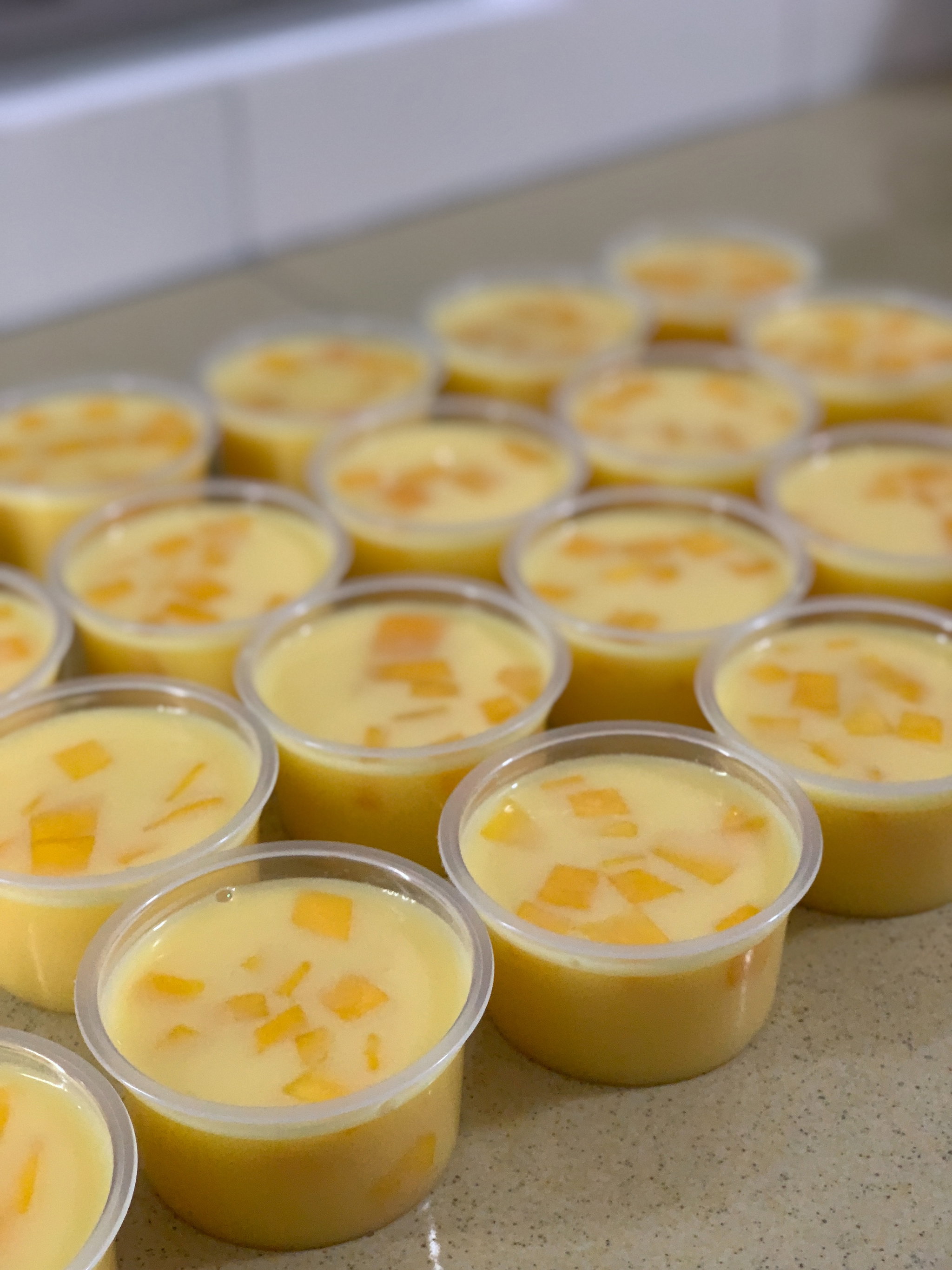Mango Pudding_0