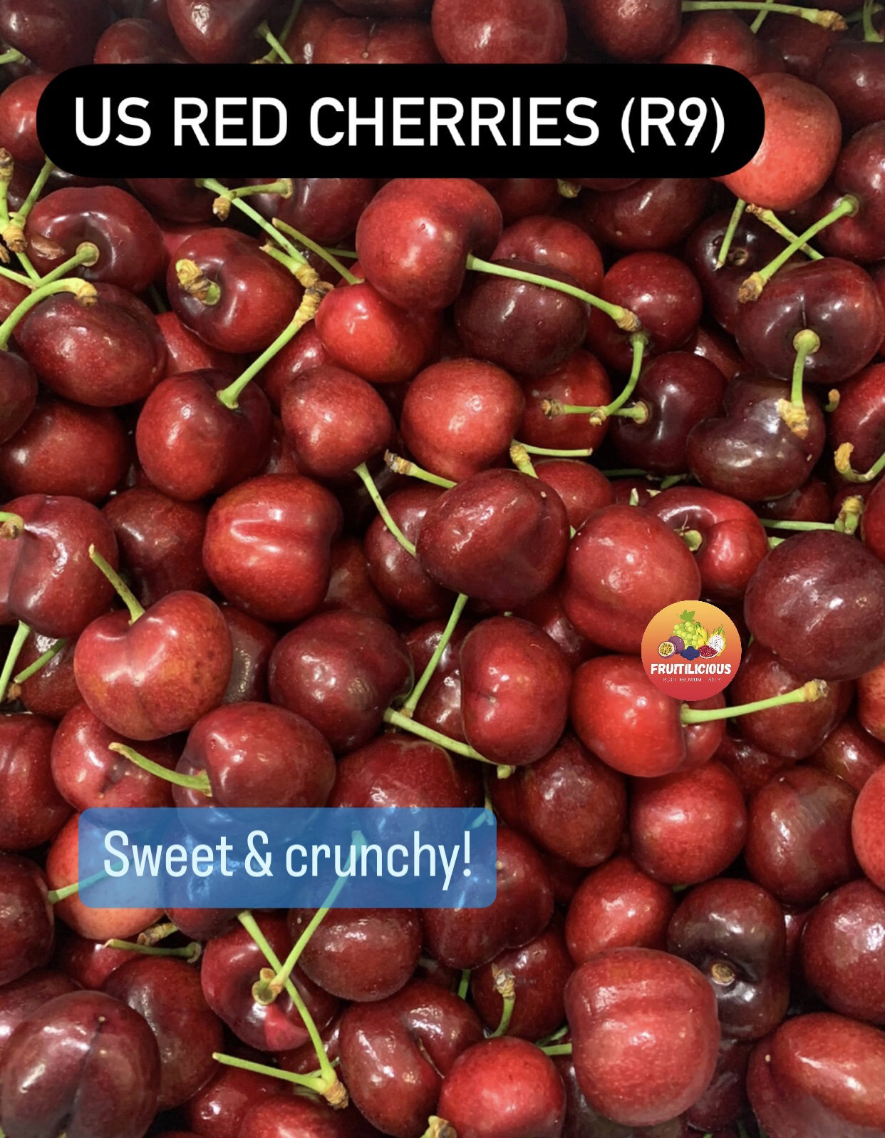 US RED CHERRIES_1