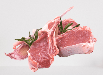 LAMB PRODUCTS_0