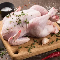 Poultry 