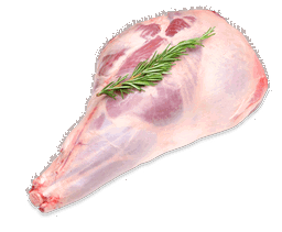 Lamb