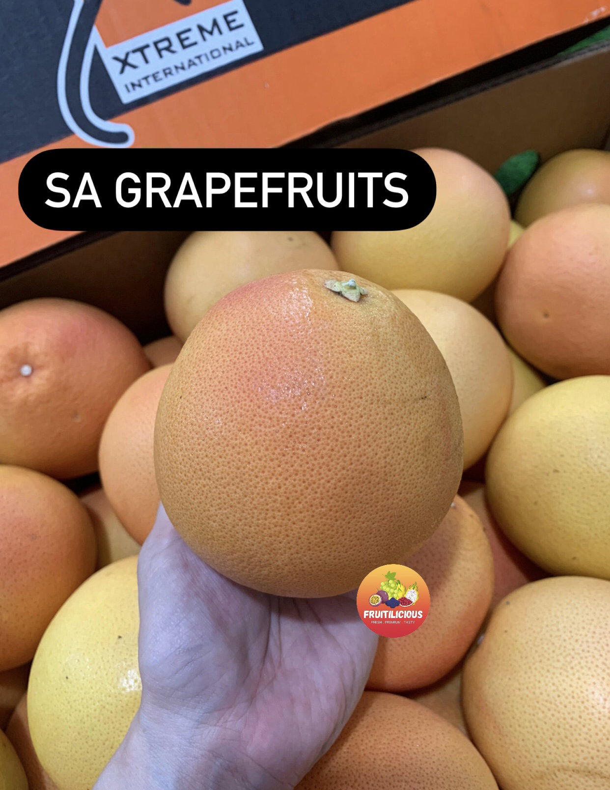 SA GRAPEFRUIT_0