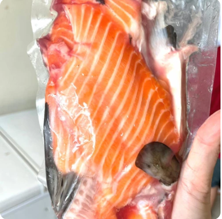 Fresh Tulang Salmon 1 ekor_1