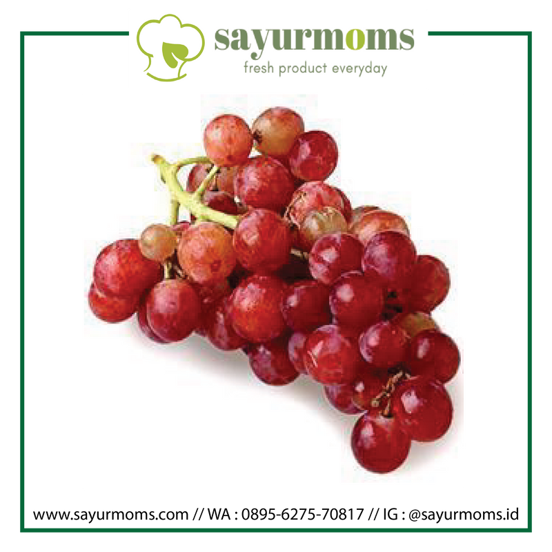 Anggur Merah Import 1kg_0