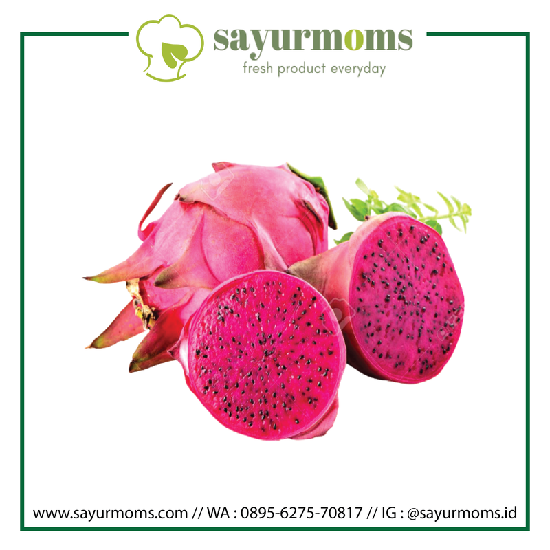 Buah Naga Merah_0