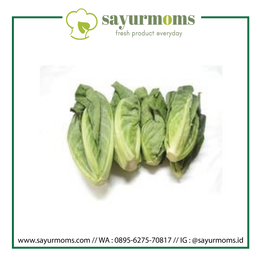 Sayuran