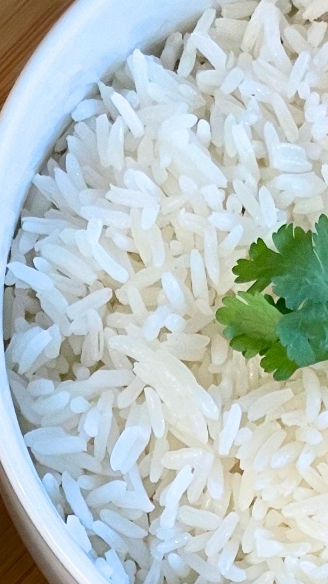Arroz branco / White rice._0