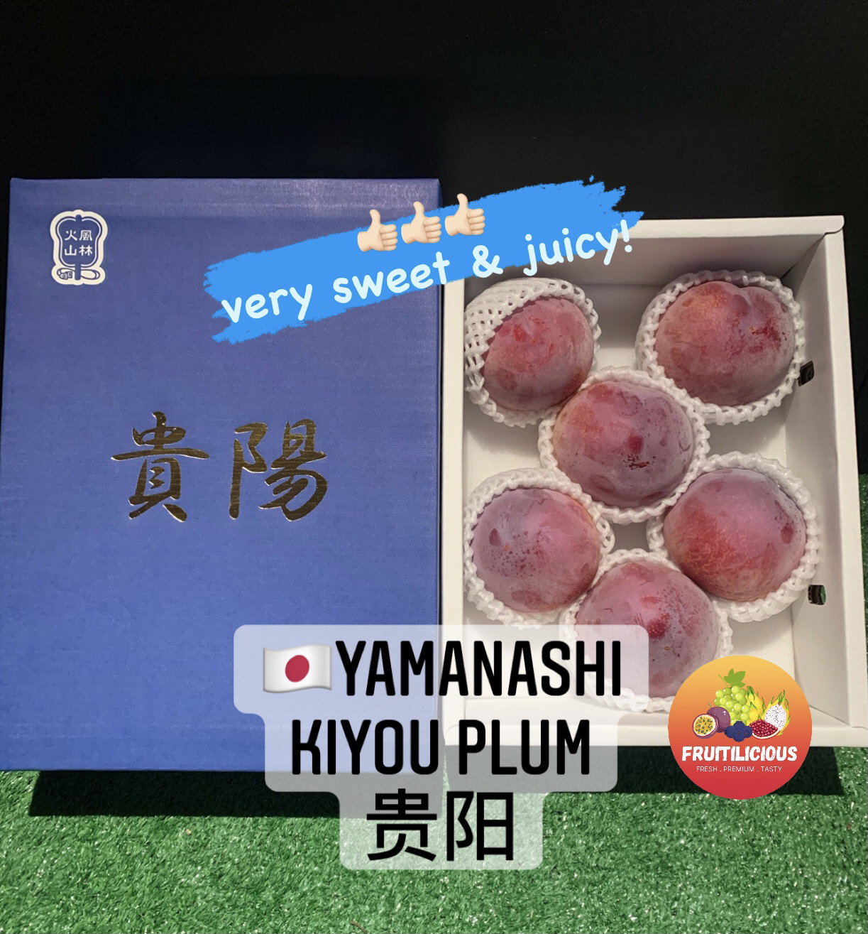 JPN YAMANASHI KIYOU PLUM GIFTBOX_0