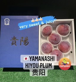 JPN YAMANASHI KIYOU PLUM GIFTBOX