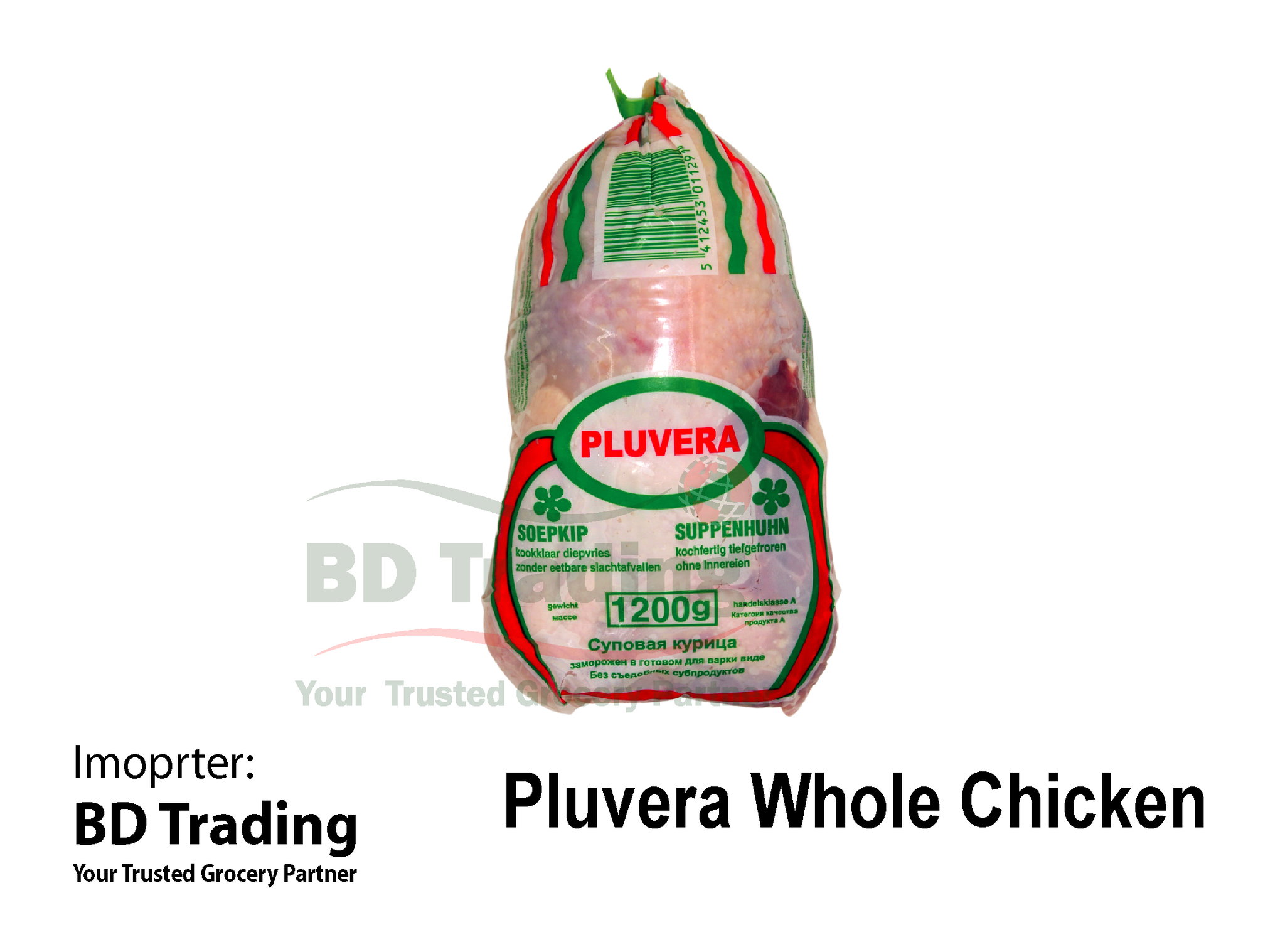 Pluvera Hen (Hard  Chicken)_0