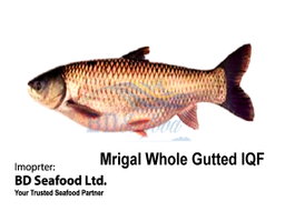 Mrigal Whole Gutted IQF