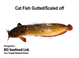 Cat Fish Whole Gutted/Scaled off 