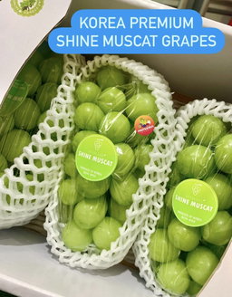 KOREA PREMIUM SHINE MUSCAT GRAPES