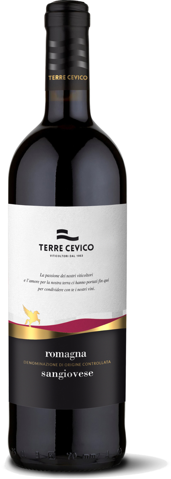 Terre Cevico Sangiovese Romagna DOC_0