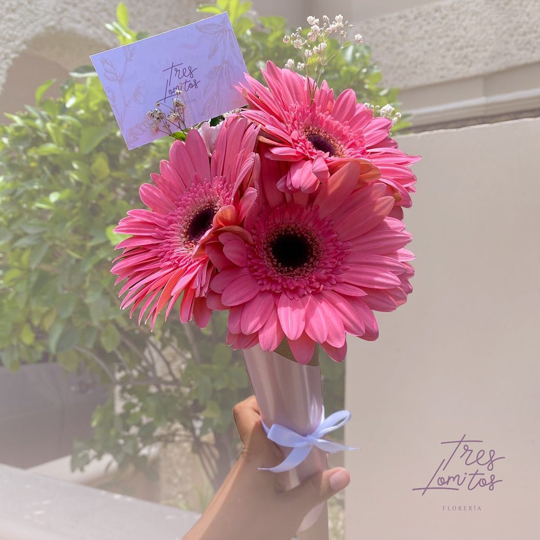 Cono de gerberas_2