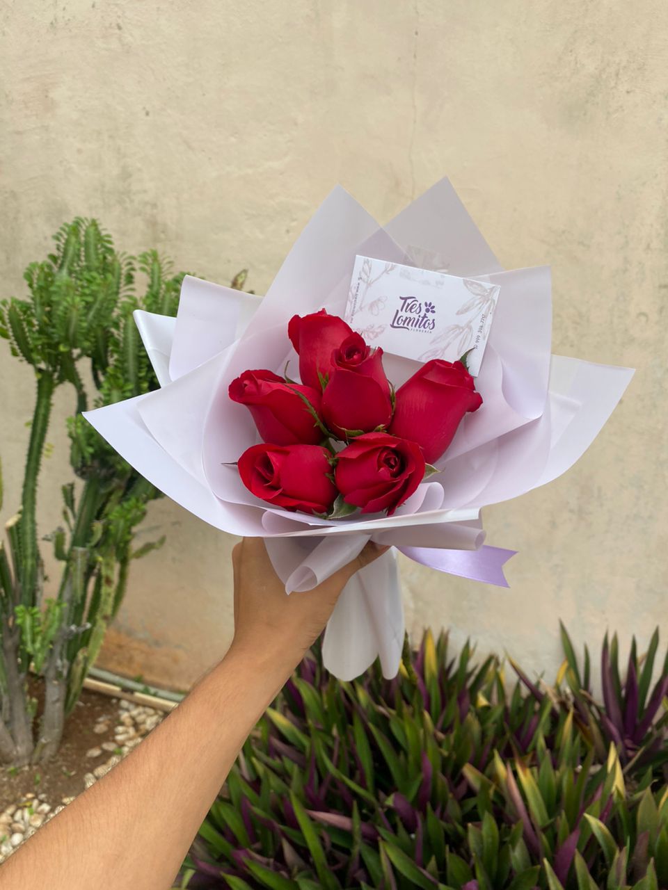 6 Rosas_1