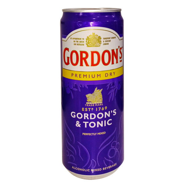 GORDON'S DRY & TONIC_0
