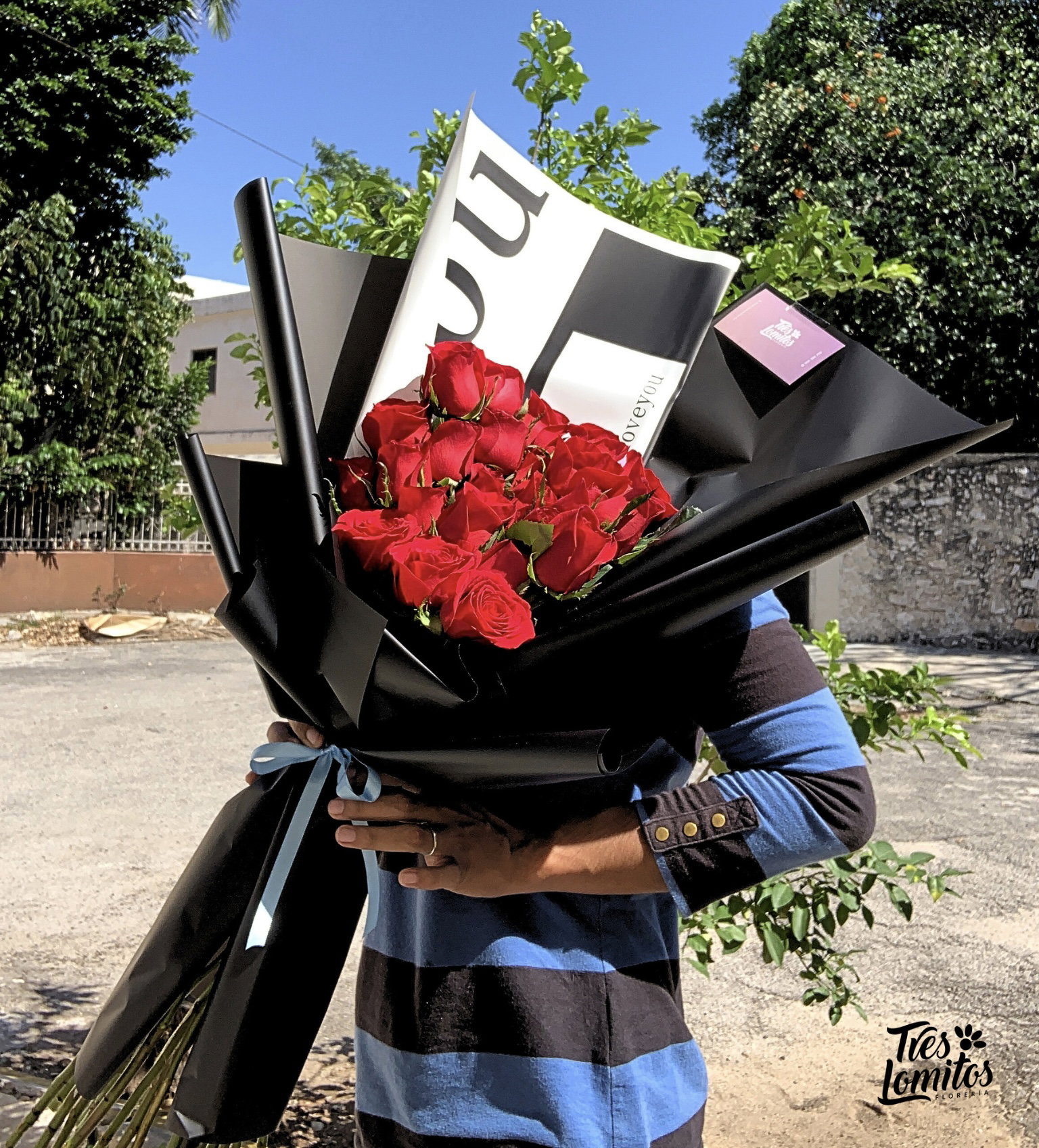 Rosas & papers rosas rojas