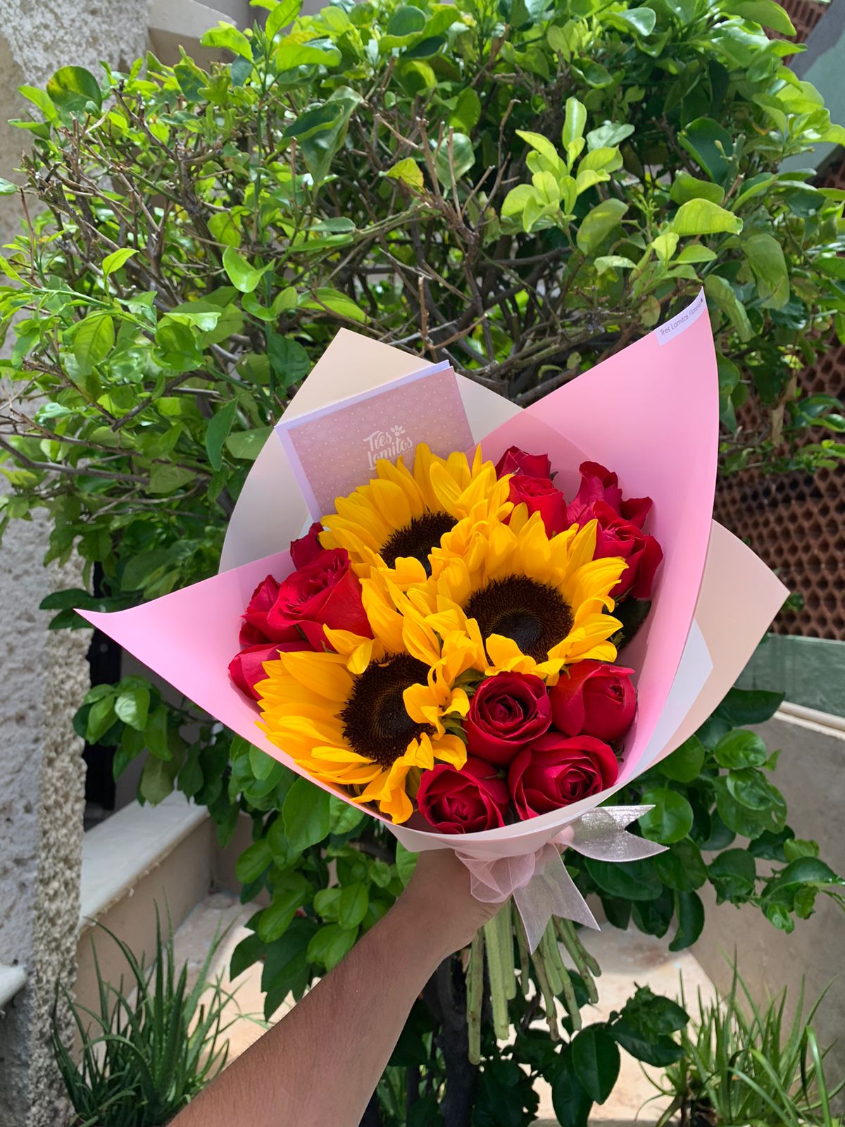 12 Rosas y Girasoles_1
