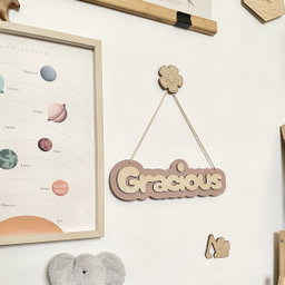 Wall Hooks
