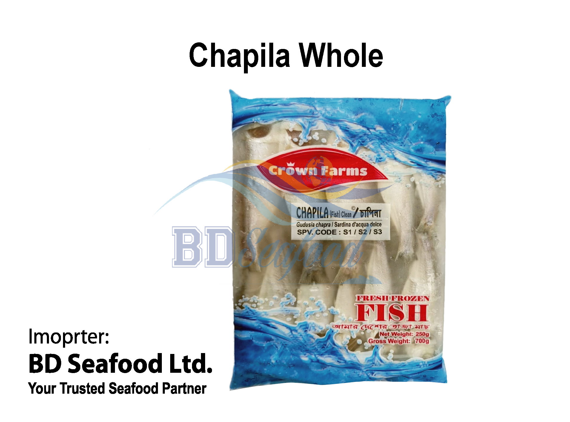 Chapila Whole_0