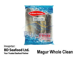 Magur Whole Clean