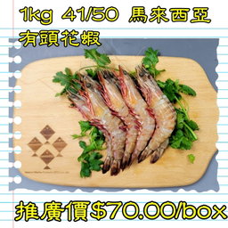 1kg 馬來西亞 有頭花蝦 41-50隻