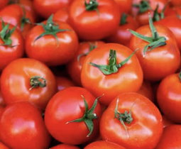 Curry Tomato Box