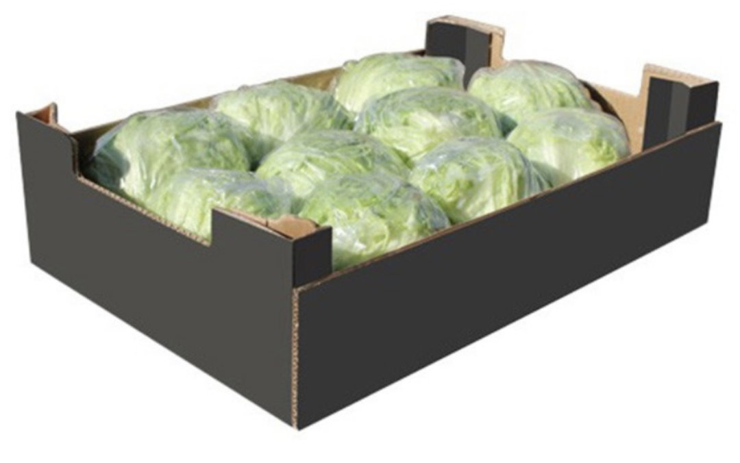 Lettuce Box