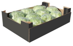 Lettuce Box 