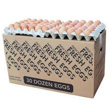 Egg Box (12 Trays)_0