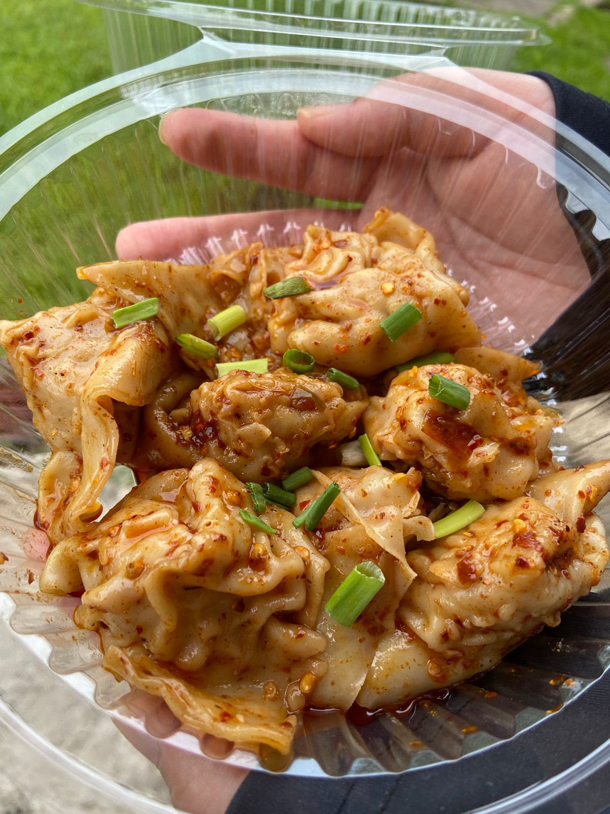Chicken Wonton_0
