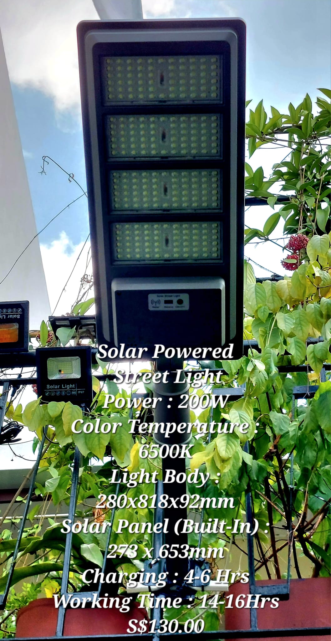 Solar-Powered Streetlight_0
