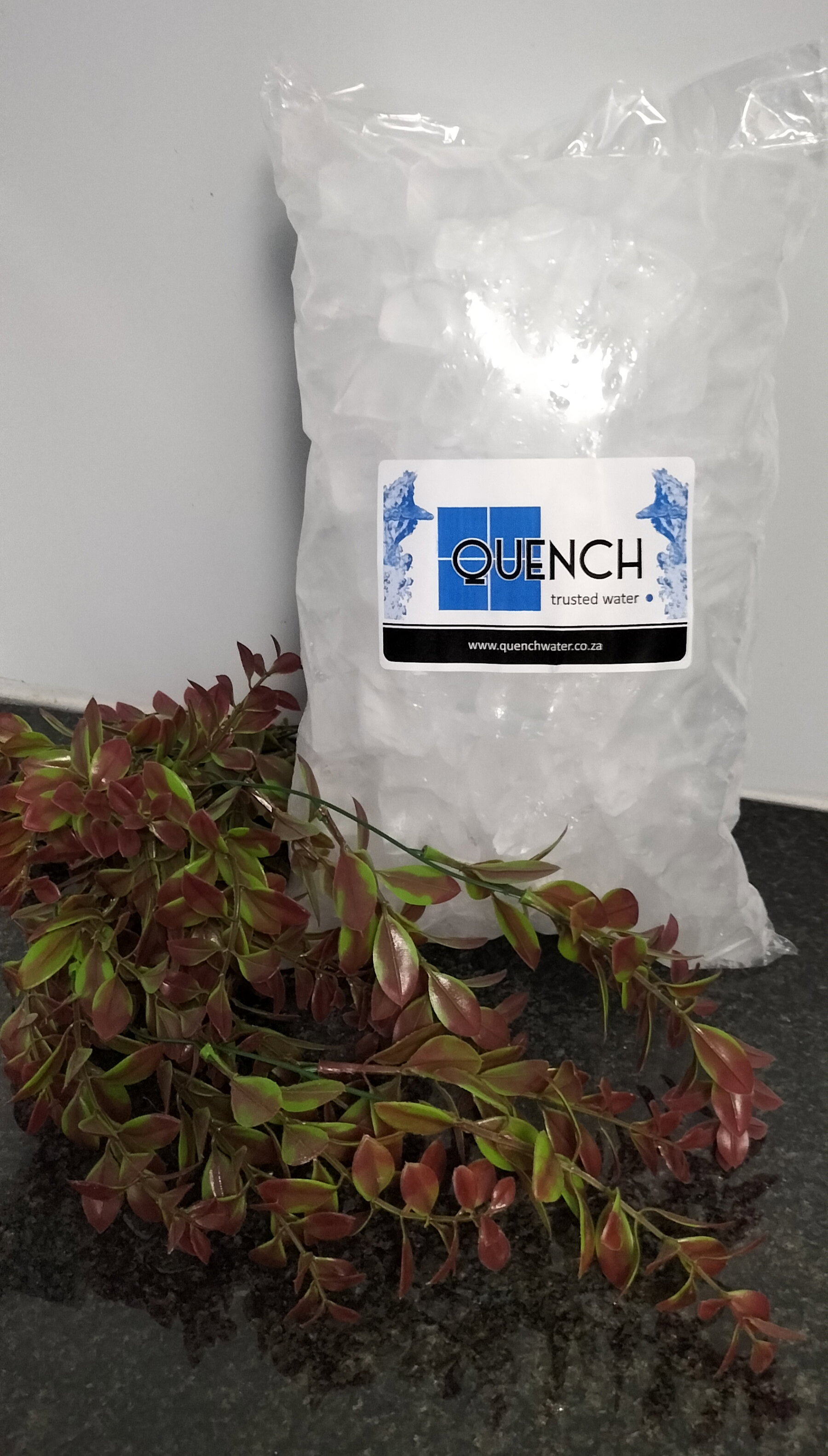 Ice 2kg - purified _0