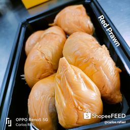Chilled Durian Pulp (Isi Sahaja)