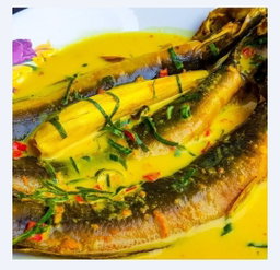 Ikan Keli
