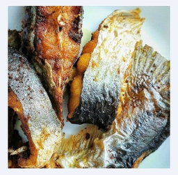 Ikan Patin