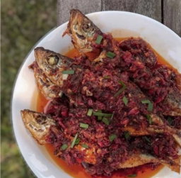 Ikan Sardin