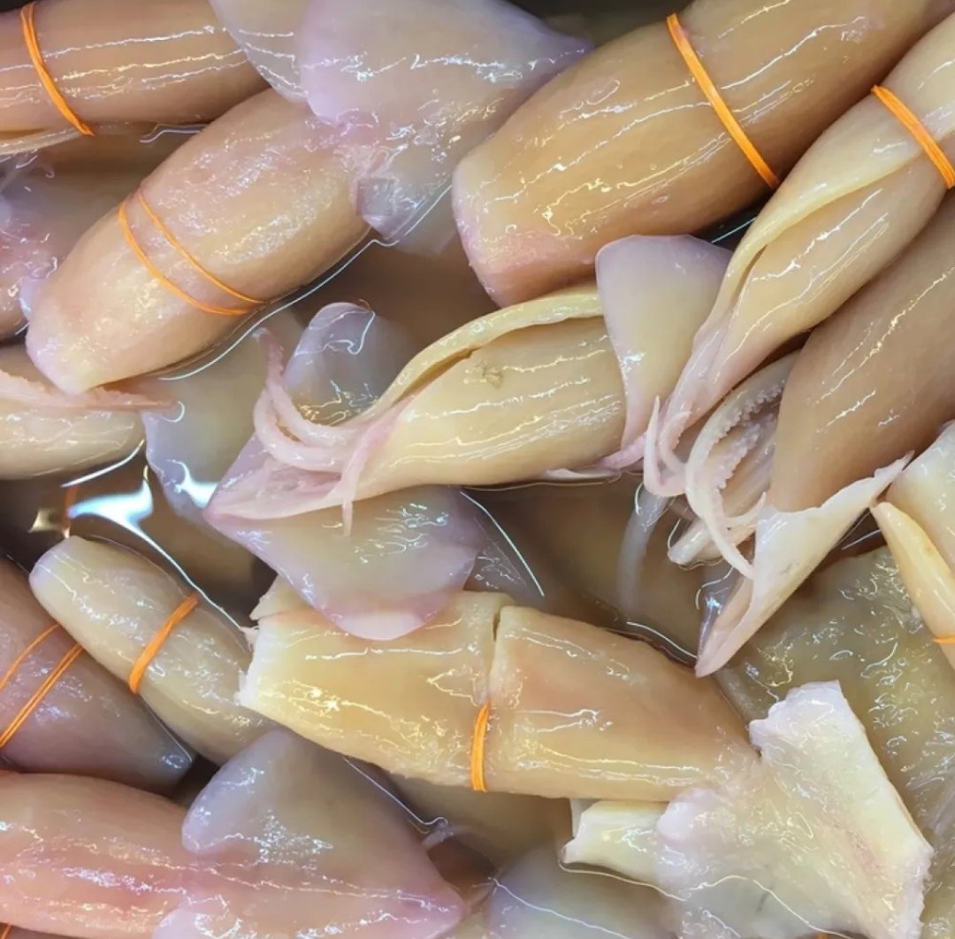 Sotong Kembang_0