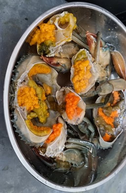 Female Super Roe Crab 爆蛋红鲟