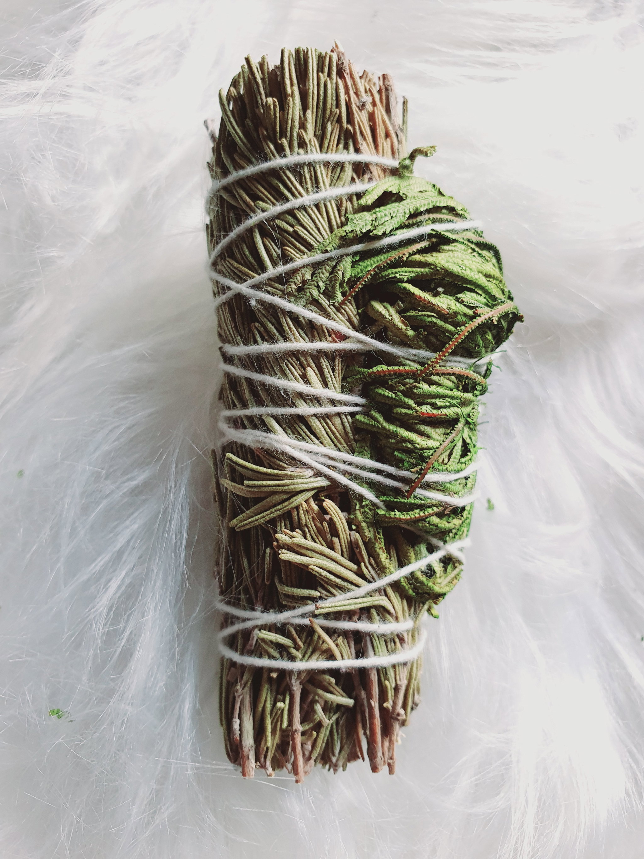 Jericho Dreams Rosemary Sage_1
