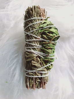 Jericho Dreams Rosemary Sage