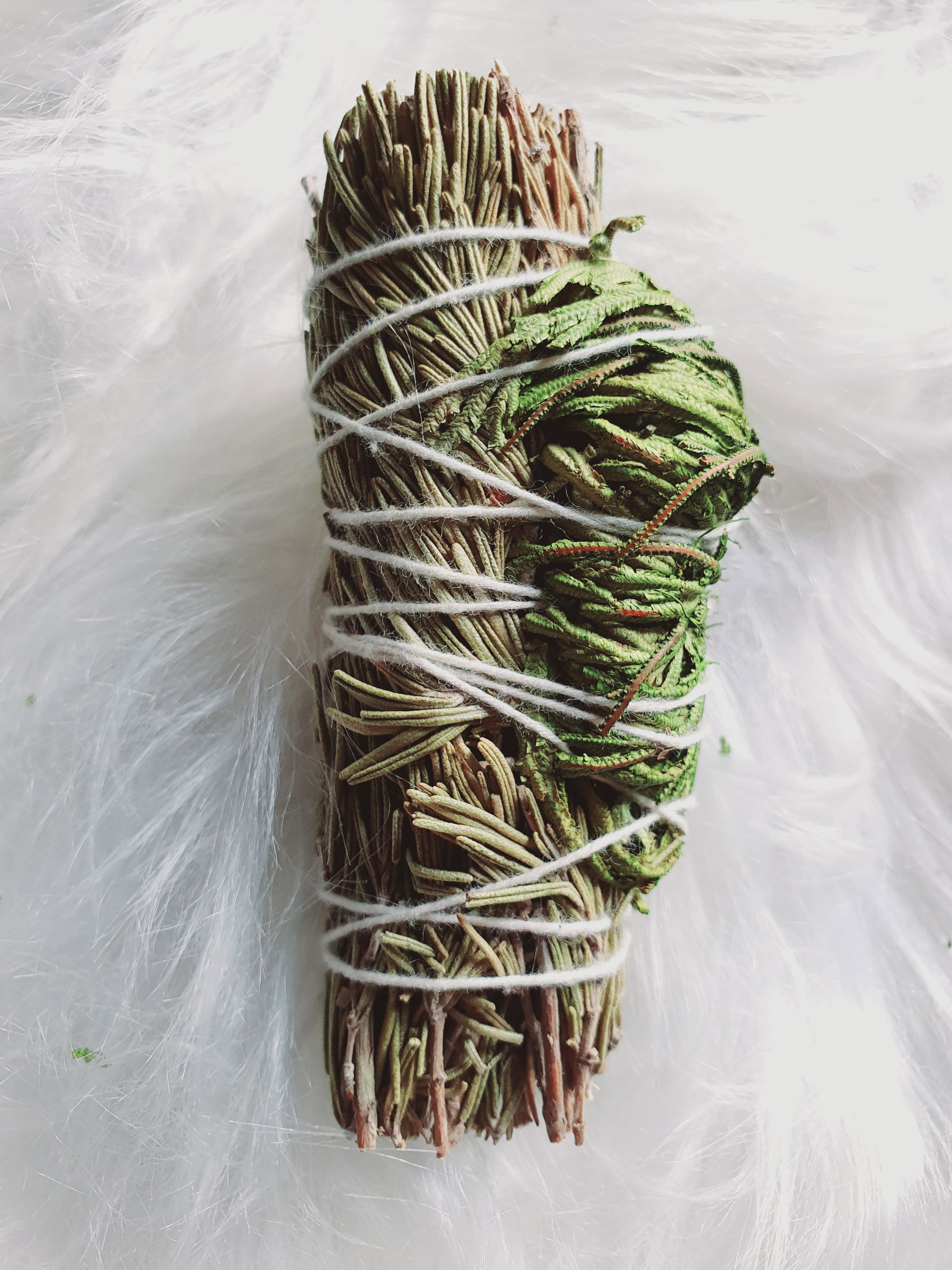 Jericho Dreams Rosemary Sage_1
