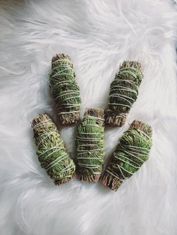 Jericho Dreams Rosemary Sage