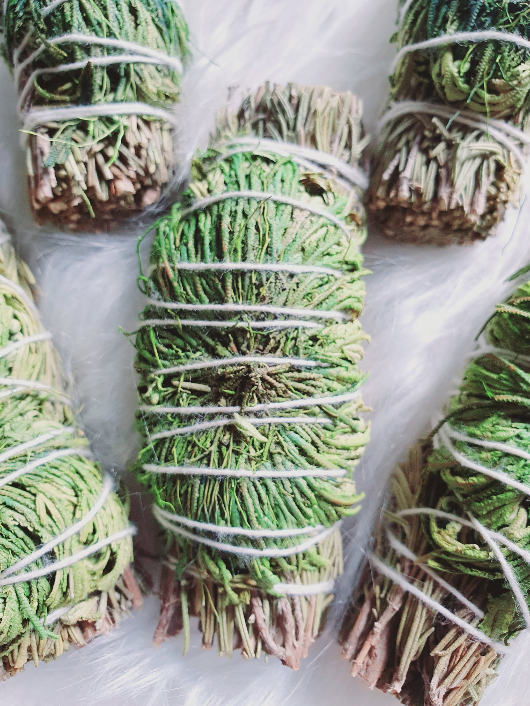 Jericho Dreams Rosemary Sage_2