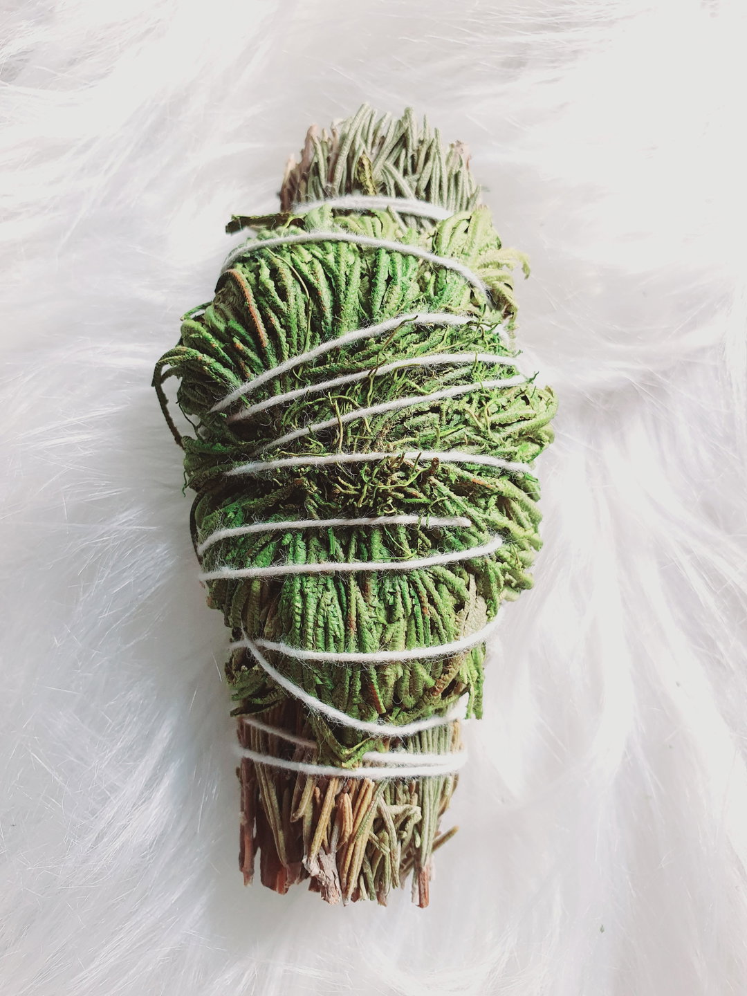 Jericho Dreams Rosemary Sage