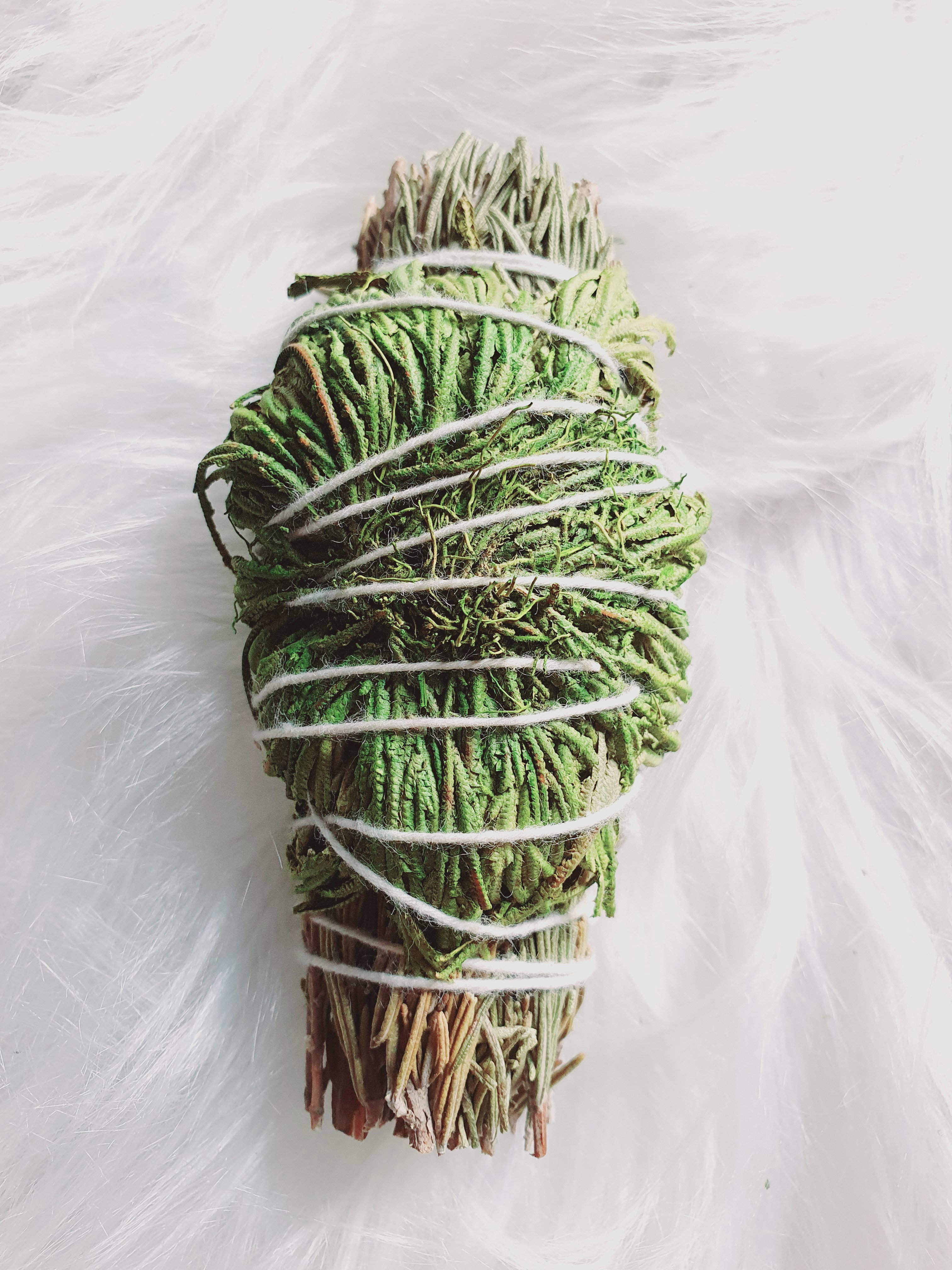 Jericho Dreams Rosemary Sage
