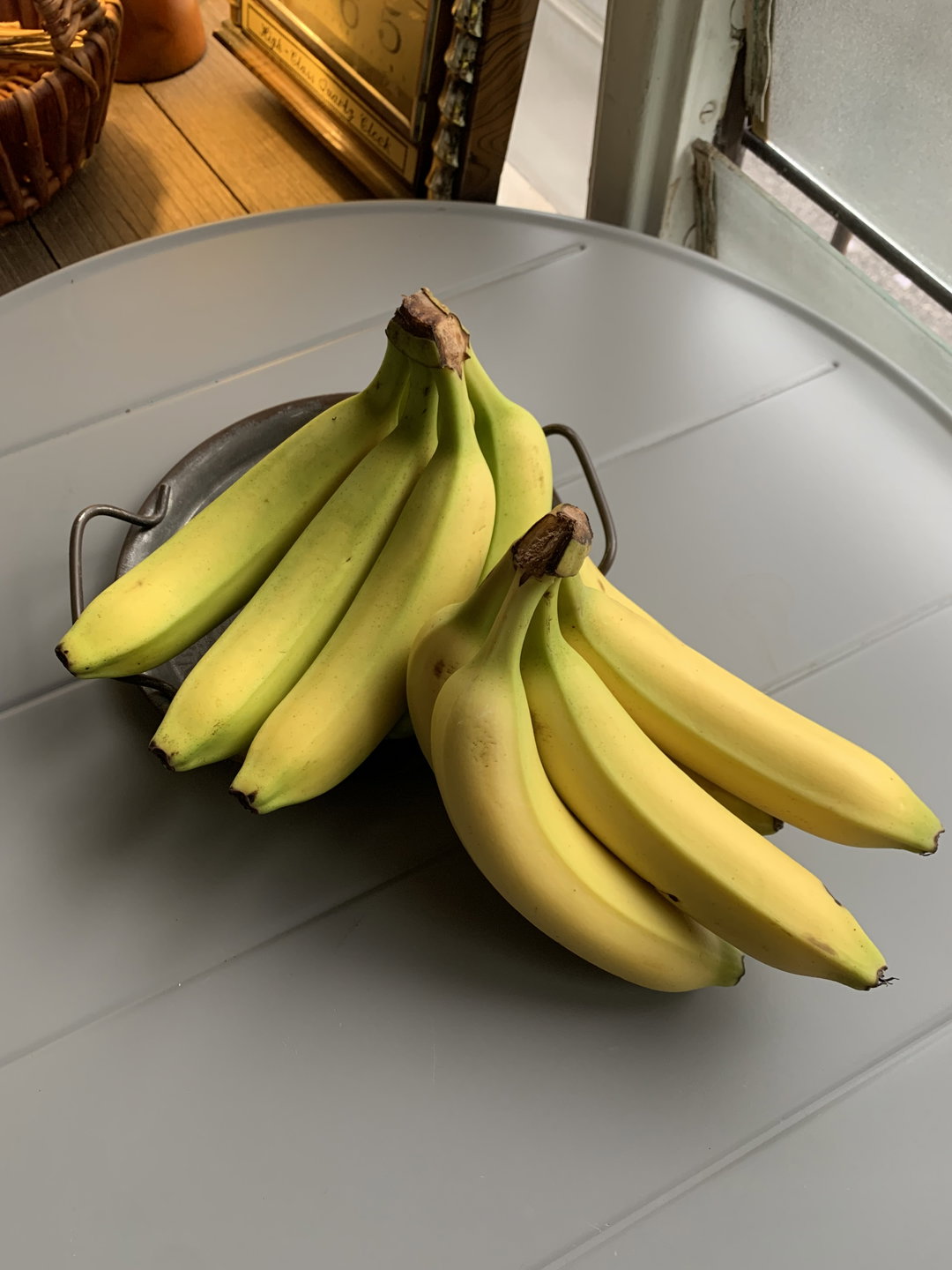 Banana Canvendish